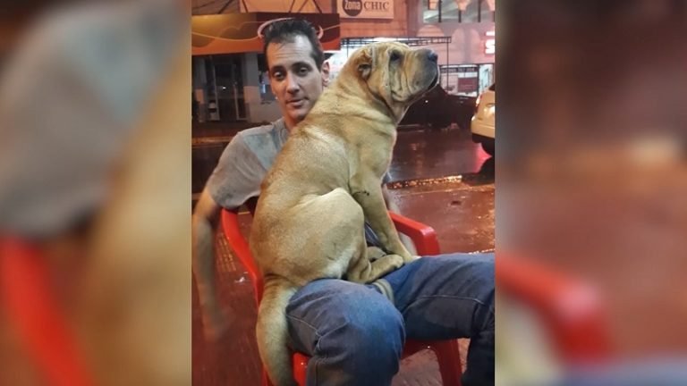 Hallan muerto a sospechoso de homicidio
