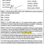 Califican de “entreguista” a Mario Abdo