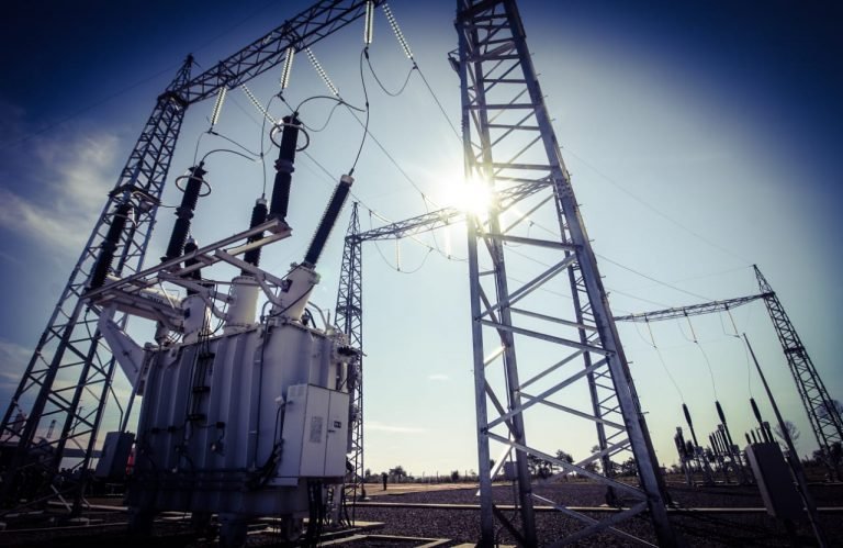 El Ejecutivo vetó totalmente el proyecto de “Ñane Energía”