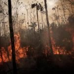 Un continente en llamas: África arde aún más que la Amazonía