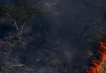 Bolsonaro sugirió que las ONG están detrás de los incendios en el Amazonas