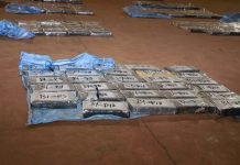 Tras la incautación total de casi 3 toneladas de Cocaína desarticulan esquema de narcotráfico