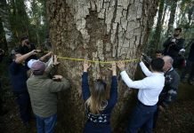 “Colosos de la Tierra” traspasó las fronteras y llegó a Argentina