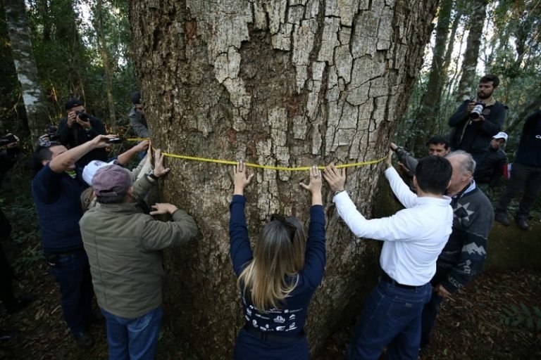 “Colosos de la Tierra” traspasó las fronteras y llegó a Argentina