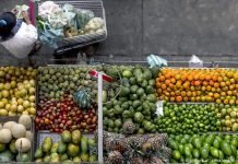 Cepal: América Latina crecerá apenas 0,5% en 2019