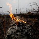 Brasil rechazará los 20 millones de dólares propuestos por el G7 para combatir los incendios en la Amazonía
