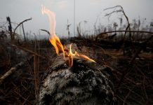 Brasil rechazará los 20 millones de dólares propuestos por el G7 para combatir los incendios en la Amazonía