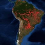La selva amazónica arde y el panorama es devastador