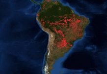 La selva amazónica arde y el panorama es devastador
