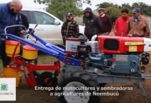 Productores de Ñeembucú resaltan apoyo del Gobierno