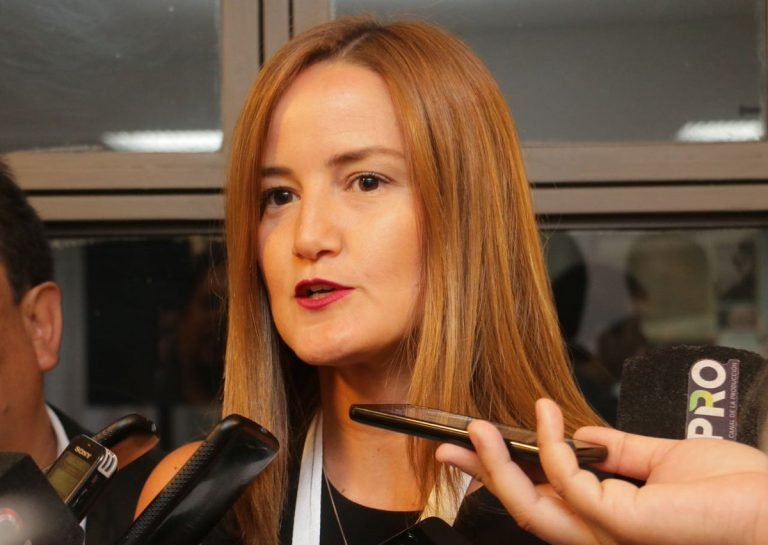 Renegociación de Itaipú necesita participación de todos los sectores, afirman