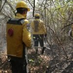 SEN interviene nuevos focos de incendios en el Chaco