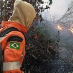 Bolsonaro afirma que expondrá un discurso objetivo sobre la Amazonía en la ONU