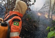 Bolsonaro afirma que expondrá un discurso objetivo sobre la Amazonía en la ONU