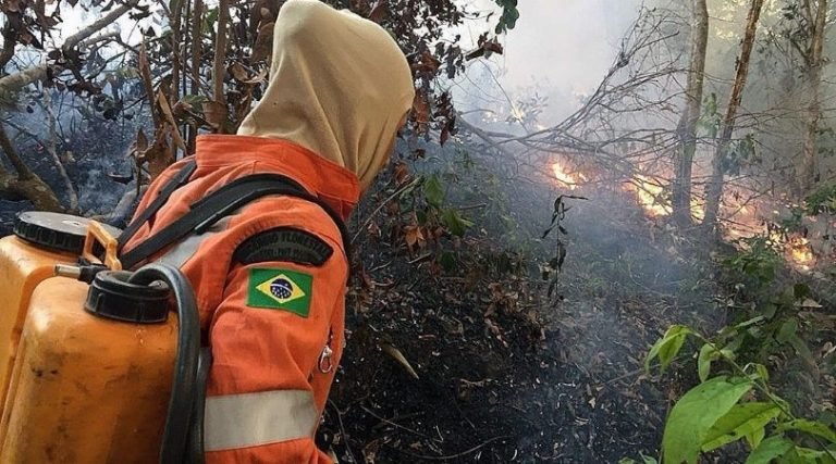 Bolsonaro afirma que expondrá un discurso objetivo sobre la Amazonía en la ONU Bolsonaro afirma que expondrá un discurso objetivo sobre la Amazonía en la ONU