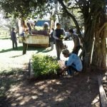 La campaña #ParaguayPlanta de A Todo Pulmón suma voluntarios en el Guairá