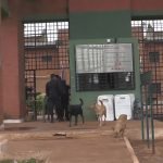 Incautan drogas y celulares en el penal de Itapúa