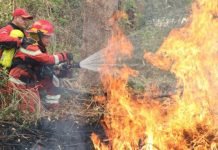 Siete nuevos focos de incendios en la Cordillera del Ybyturuzú
