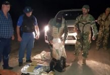 Hallan carga de marihuana que tendría como destino Bolivia