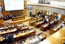 El Senado acepta veto total del Ejecutivo a la ley “Ñane Energía”