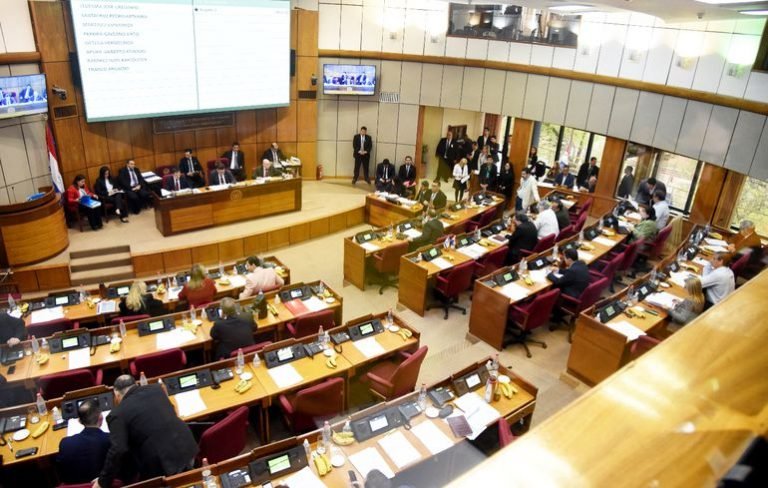 El Senado acepta veto total del Ejecutivo a la ley “Ñane Energía”