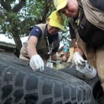 Cambio climático influye en aumento de casos de dengue en Latinoamérica