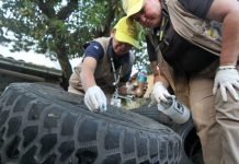 Cambio climático influye en aumento de casos de dengue en Latinoamérica