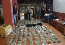 SENAD intercepta carga de Marihuana envasada al vacío en Curuguaty