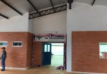 Coronel Bogado: Picaduras de avispas mataron a un hombre