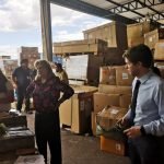 Gobierno creó organismo para la lucha contra la piratería y la falsificación