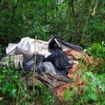 Incautan más de 600 kilos de marihuana en Capitán Meza