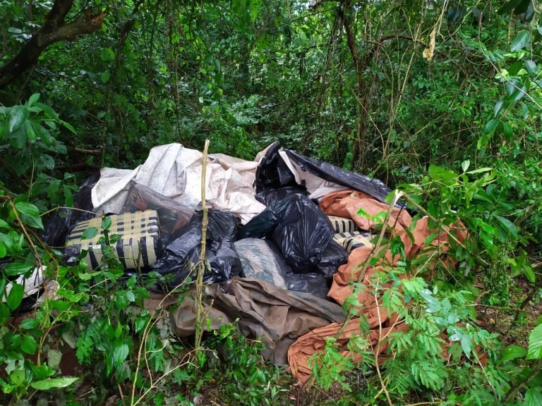 Incautan más de 600 kilos de marihuana en Capitán Meza