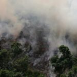 Deforestación en la Amazonía brasileña en 2019 fue 85 % mayor que en 2018