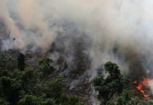 Deforestación en la Amazonía brasileña en 2019 fue 85 % mayor que en 2018