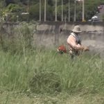 Buscan frenar al dengue en Encarnación