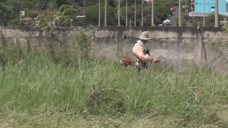 Buscan frenar al dengue en Encarnación