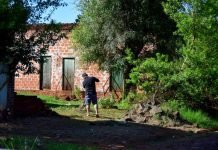 Datos a tener en cuenta para practicar mingas en los barrios