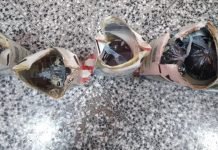 Intentan introducir «leche» en un penal