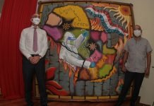 Artista plasma situación por coronavirus en el país en una obra