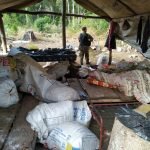 Más de 7.000 kilos de marihuana destruidas en Itapúa