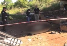 Encarnación: Indigente mató a su compañero de tragos