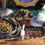 SENAD incautó marihuana y cocaína en Cambyretä