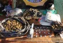 SENAD incautó marihuana y cocaína en Cambyretä