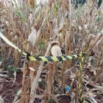 Niña de 12 años fue asesinada en Capitán Meza