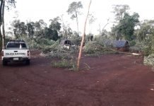 Niña de 5 años muere aplastada bajo su vivienda