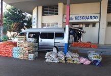 Retienen productos frutihortícolas que sin documentos estaba en circulación