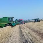 Productor muere aplastado por una cosechadora en Capitán Miranda