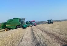 Productor muere aplastado por una cosechadora en Capitán Miranda