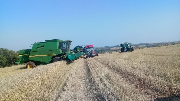 Productor muere aplastado por una cosechadora en Capitán Miranda Productor muere aplastado por una cosechadora en Capitán Miranda