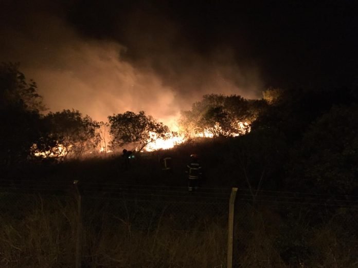 incendios-forestales-pastizales-5